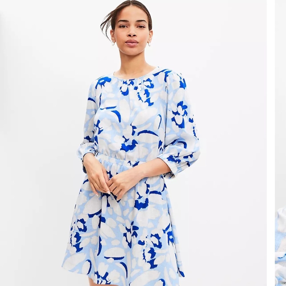 Ann Taylor Loft Brushed Daisy Balloon Sleeve Flare Dress